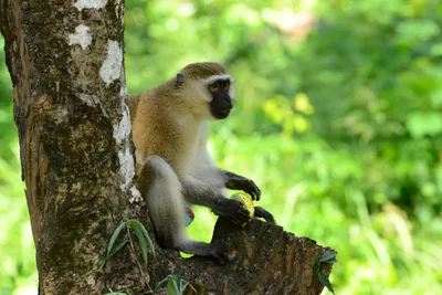 DSC_7930 (Large).JPG